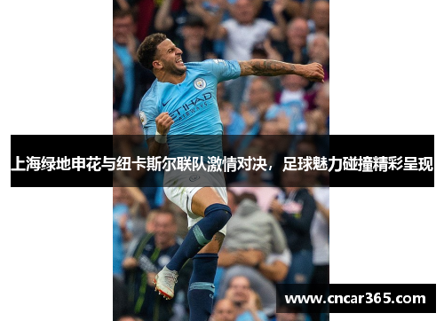 上海绿地申花与纽卡斯尔联队激情对决，足球魅力碰撞精彩呈现